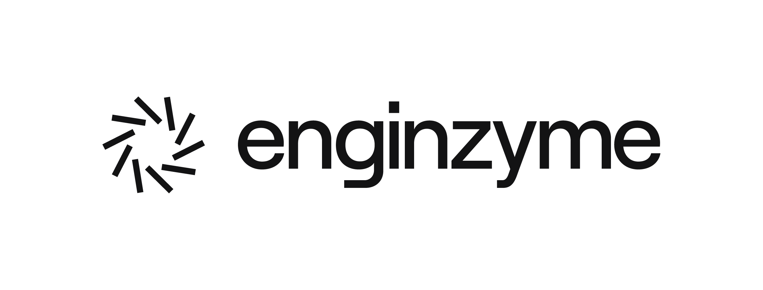enginzyme logo