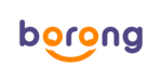borong logo