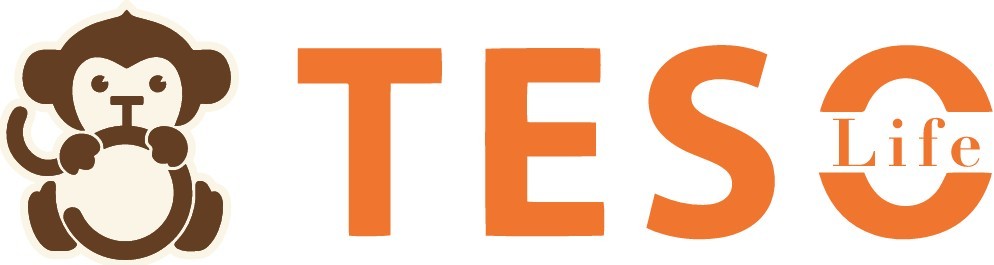 TESOLIFE US INC logo