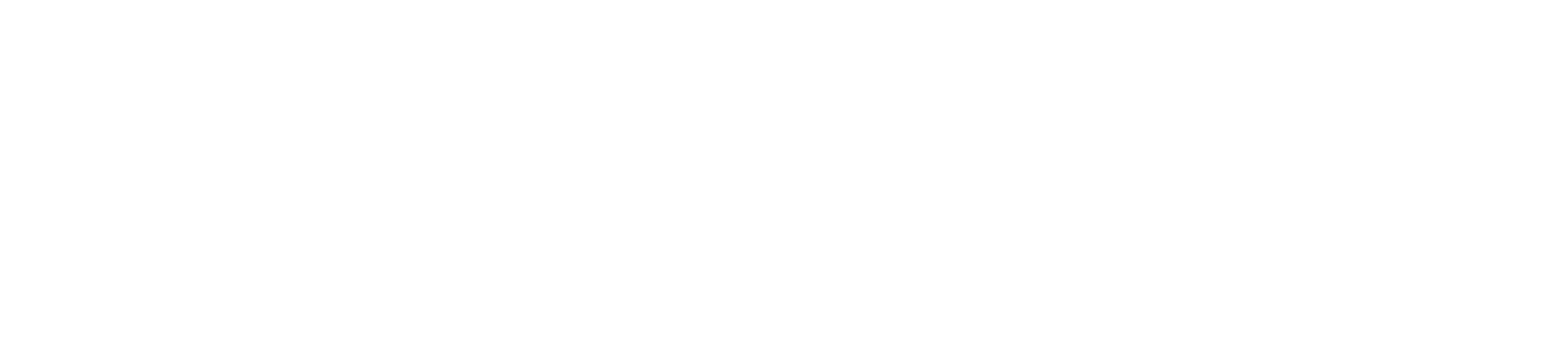 The Bonadio Group logo