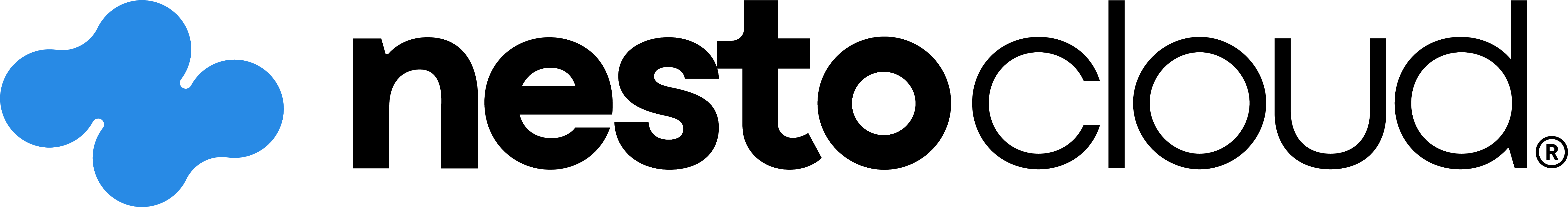 Nesto Cloud logo