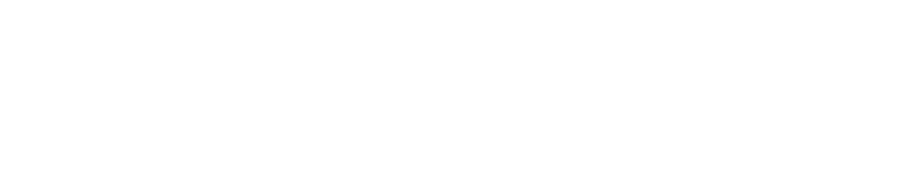Ingram Micro S.A.S. logo