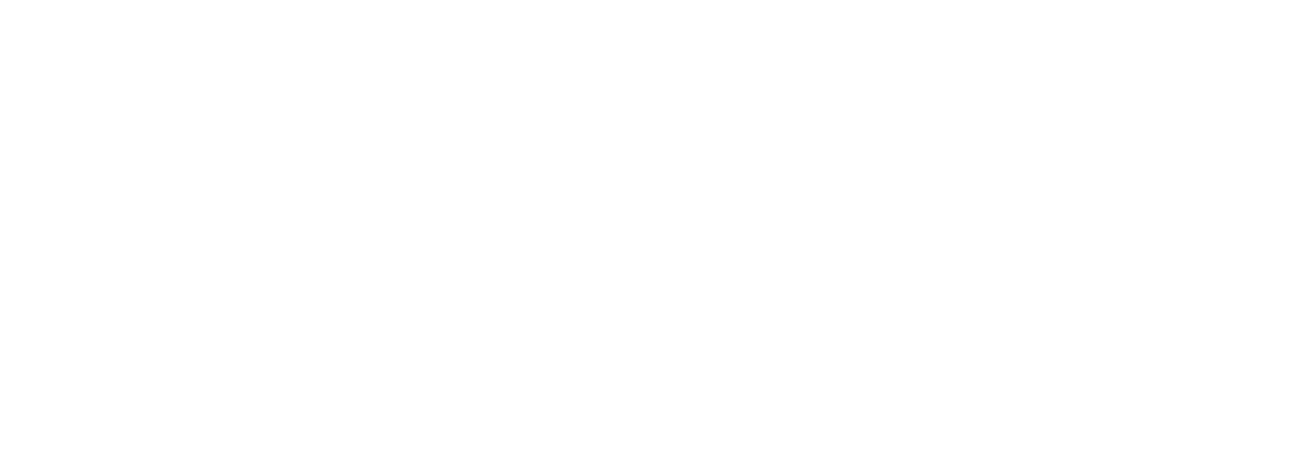Zero Motorcycles Inc. logo