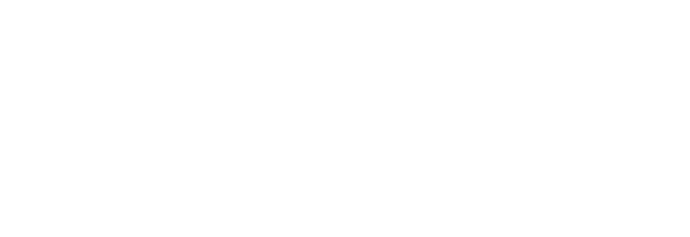 RSW Accountants + Adviseurs logo