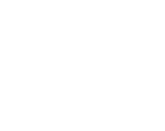 FanDuel logo
