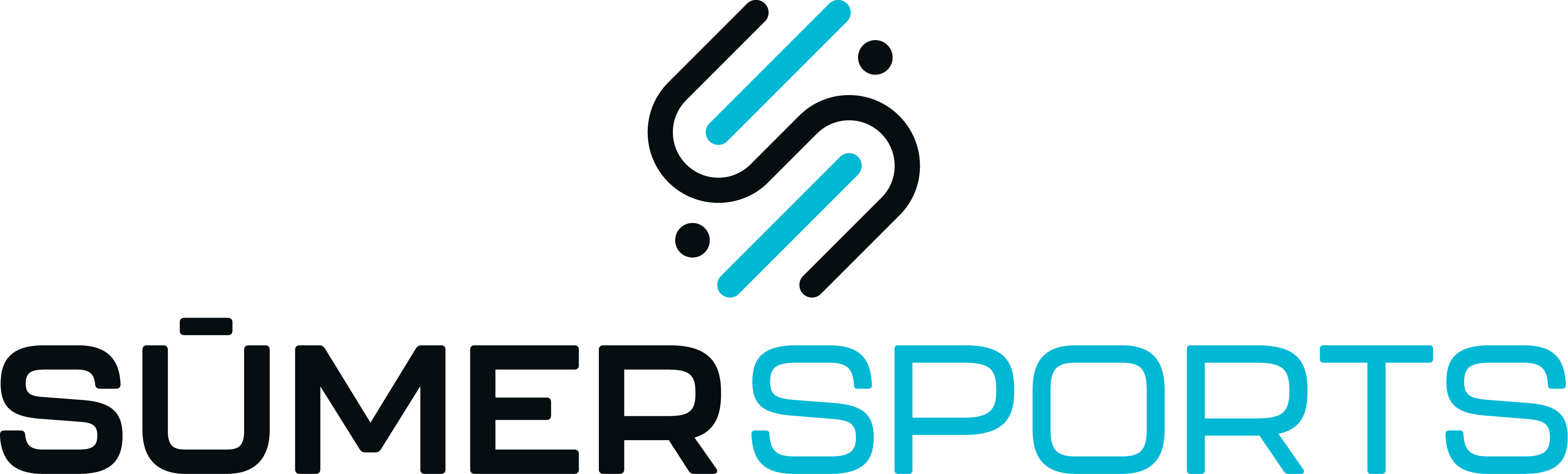 SumerSports LLC logo
