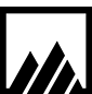 RI Russell Investments Group, LLC logo
