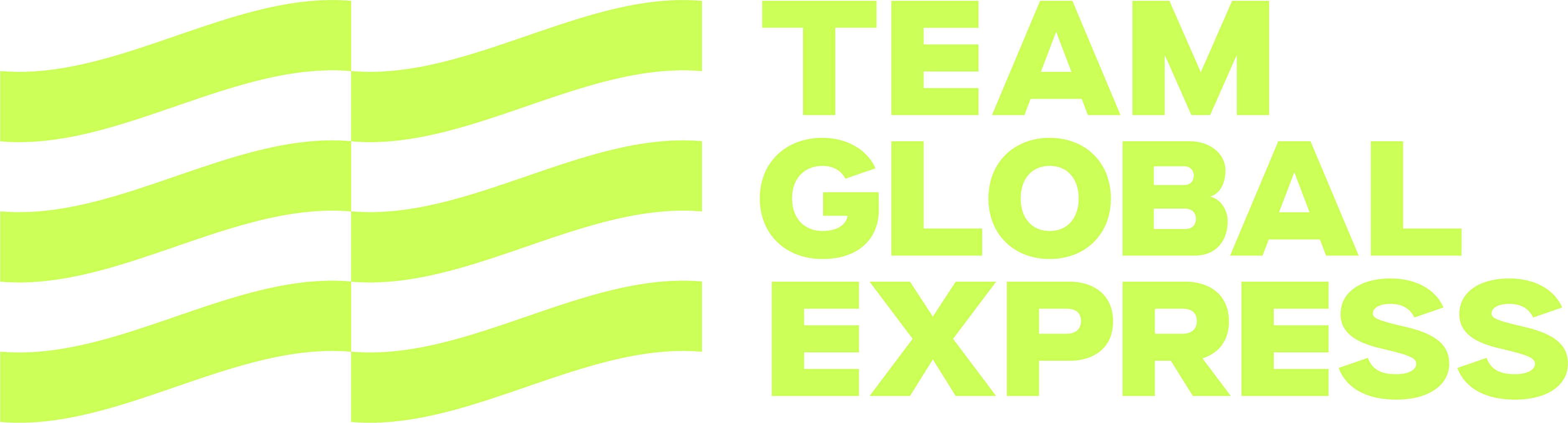 Teamglobalexp logo