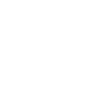 TP ICAP Americas Holdings Inc. logo
