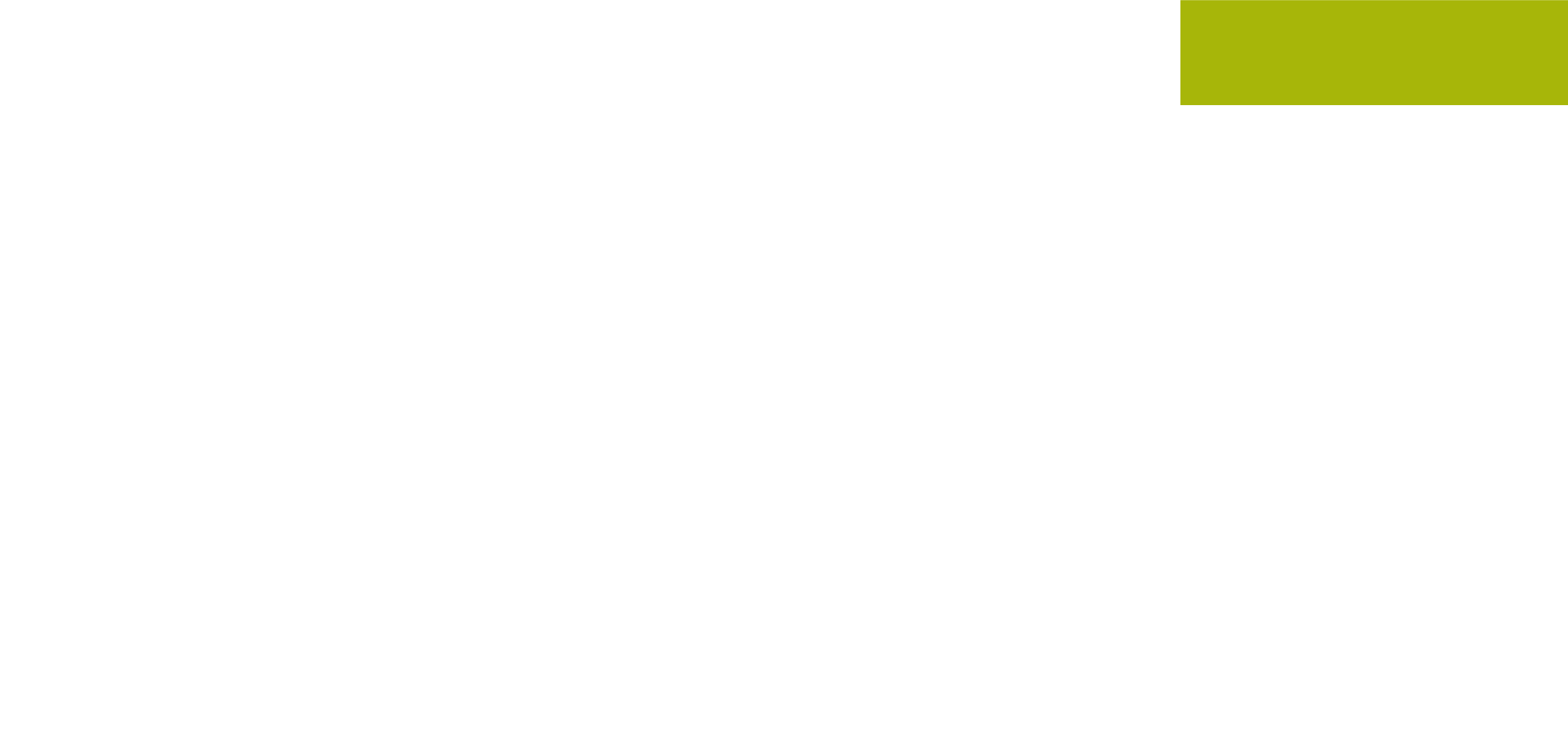 FEST GmbH logo