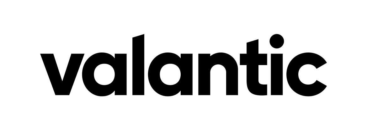 Vsti logo