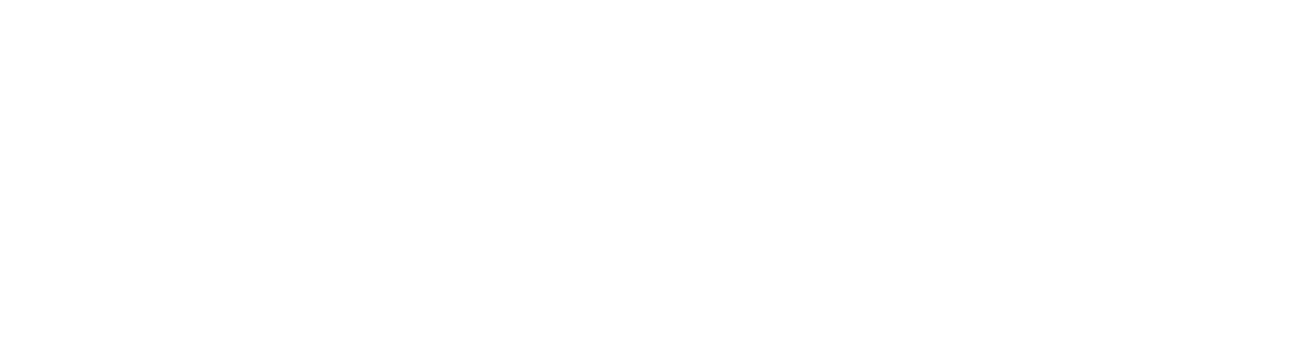 Faktion BV logo