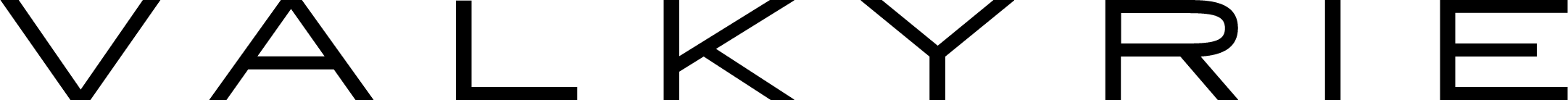 Valkyrie logo