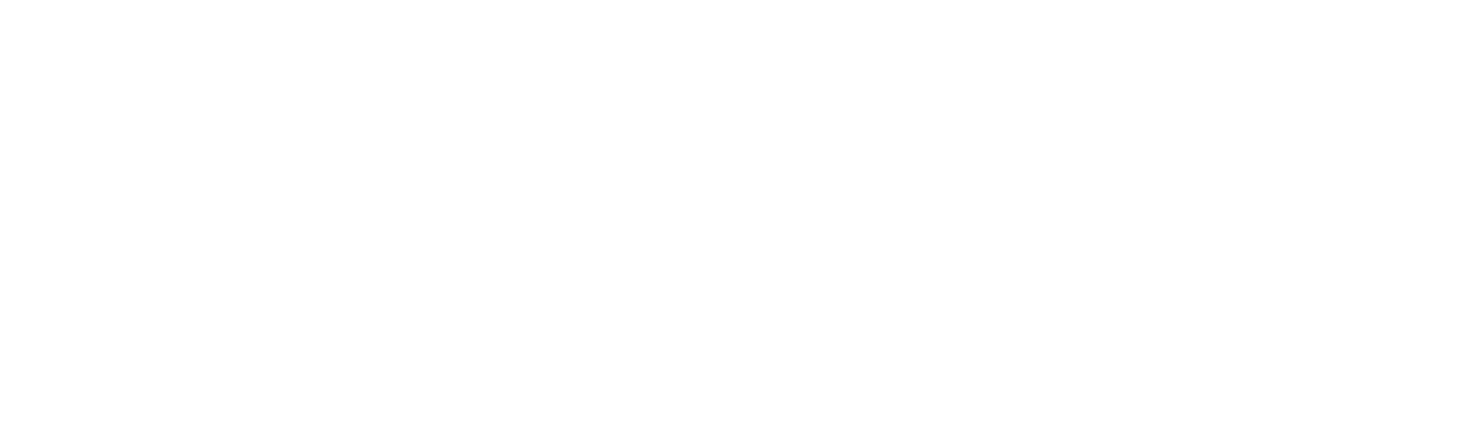 Advanced Navigation logo
