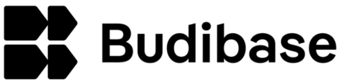 Budibase logo