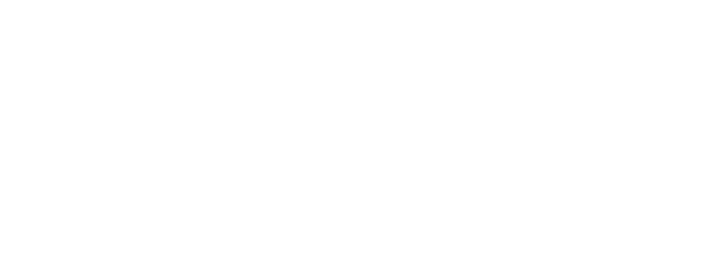 Exelab S.r.l. logo