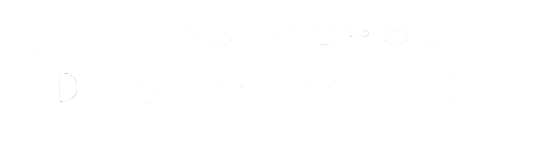 Autohaus Dünnes & Sohn GmbH logo