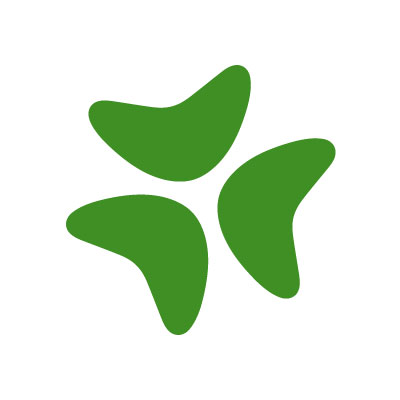 Bloomerang logo