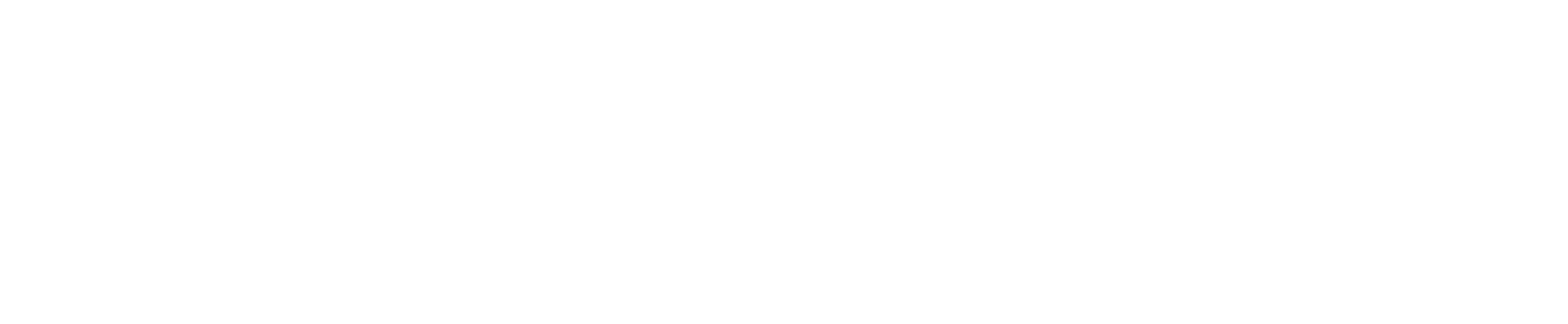 Blue Owl Capital Holdings LLC logo