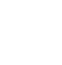Intempus ApS logo