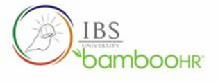 IBSUniversity logo