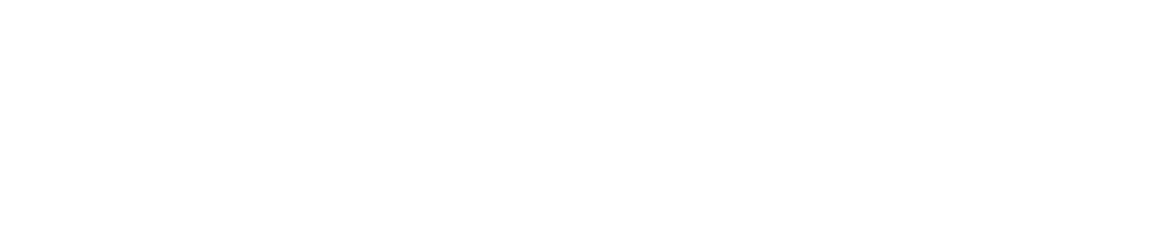 EMERSE SALES US INC logo