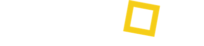 Boxflow logo