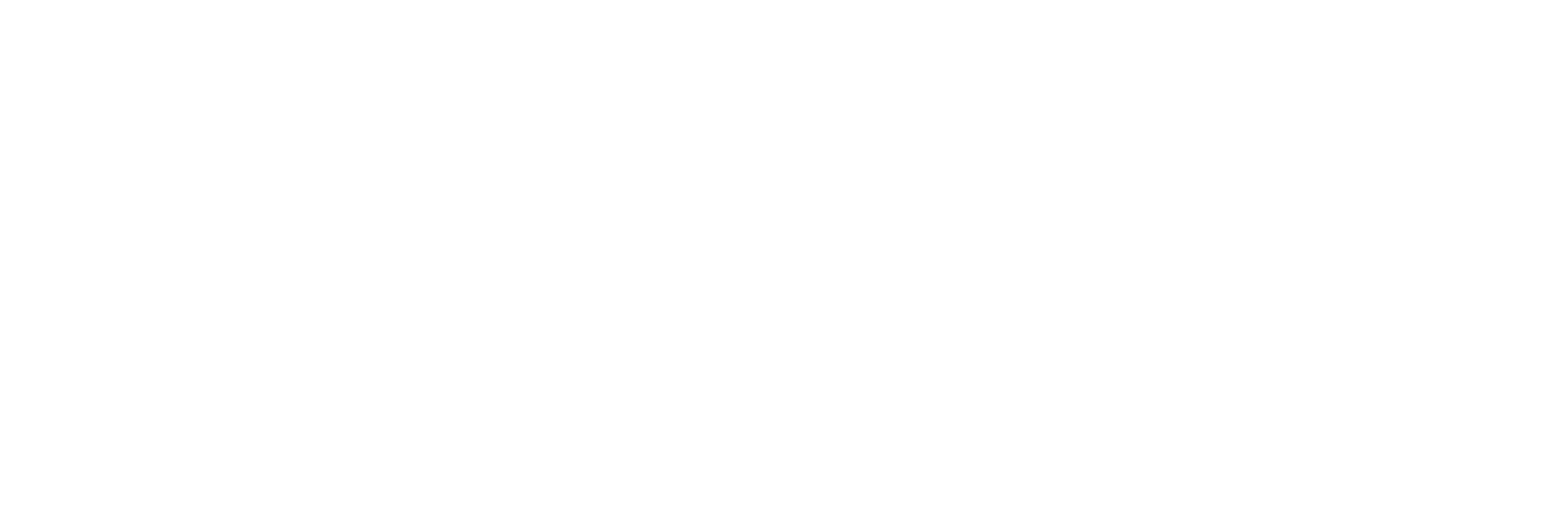 Olenex Holdings B.V. logo