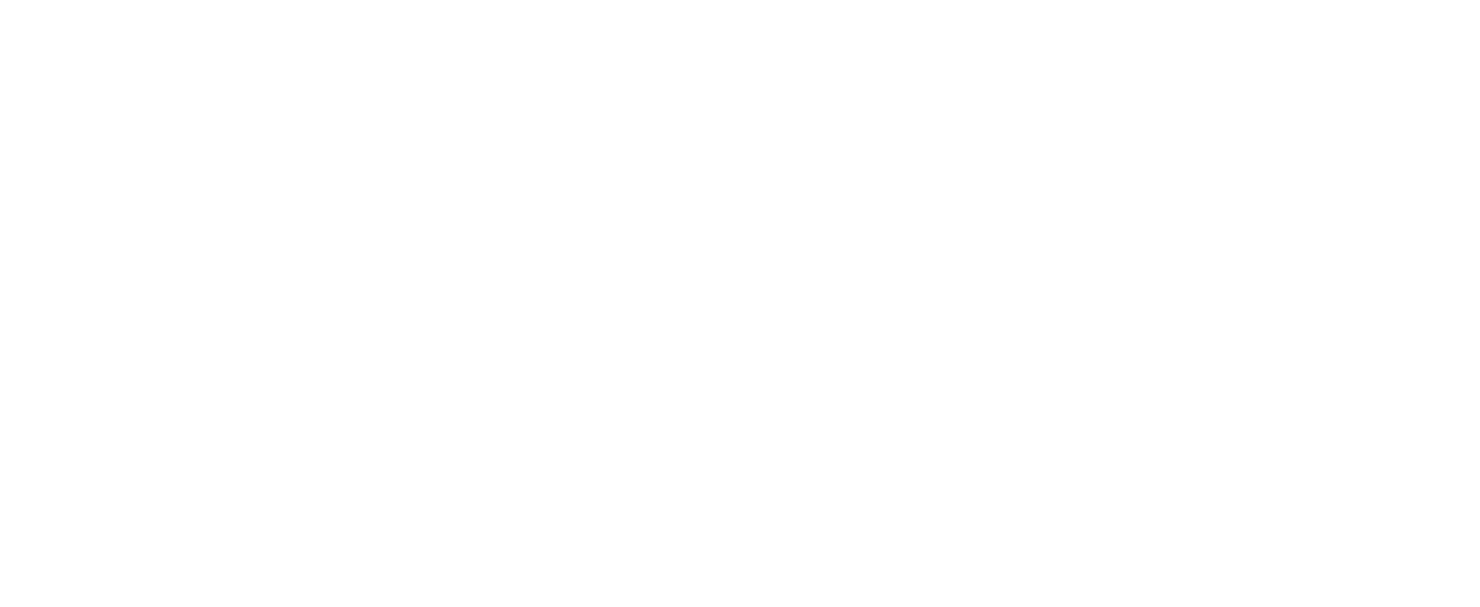 Apex Capital Corp logo