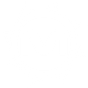 MetroStar logo
