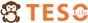 TESOLIFE US INC logo