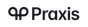 Praxis logo