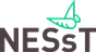 NESsT Inc logo