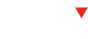 STV Incorporated logo